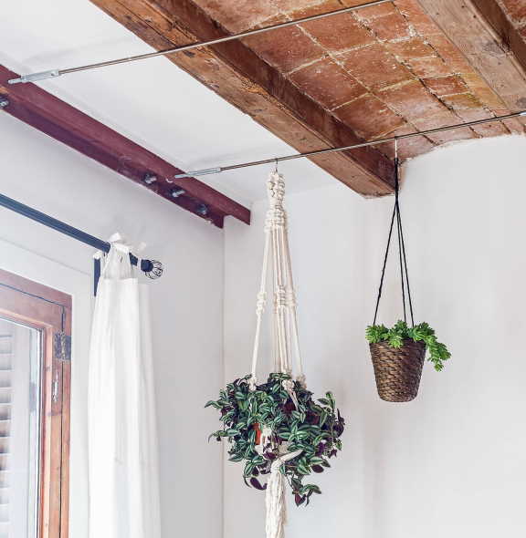 How To Hang Plant From Ceiling Without Drilling Life Basics Organics - How To Hang Things From Ceiling Without Holes