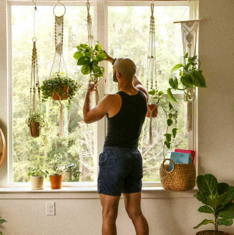 How To Hang Plant From Ceiling Without Drilling Life Basics Organics - How To Hang Things From Ceiling Without Drilling